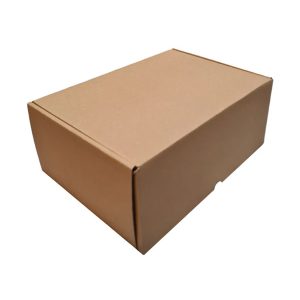 Shoe Packing Box